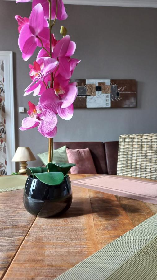 Studios Et Appartements En Centre Ville Boulogne Sur Mer Ngoại thất bức ảnh